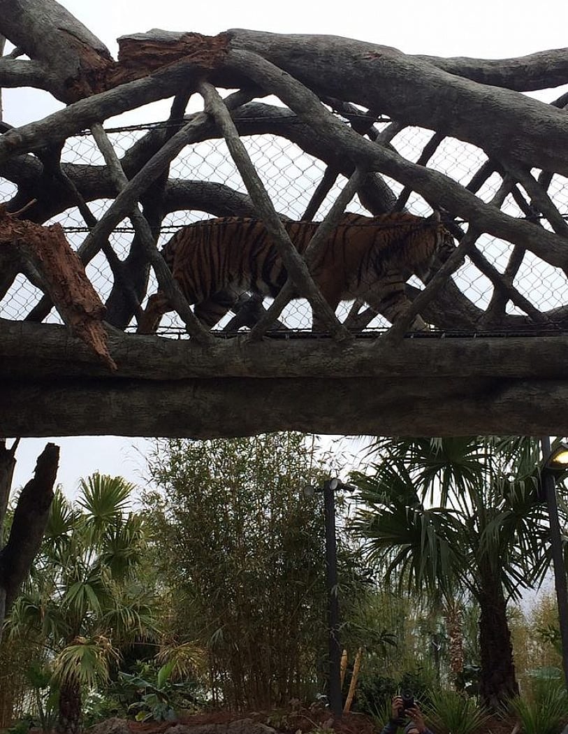Tastings with Tigers 4